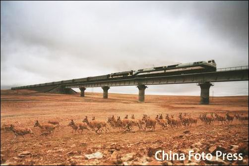 “劉羚羊”假照片