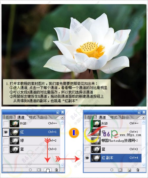 花卉照片處理 photoshop照片處理教程_網頁設計webjx.com轉載