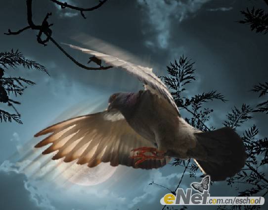 photoshop照片合成教程:月夜飛翔