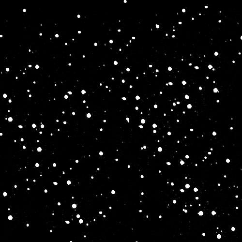 photoshop為美女王心凌做愛情簽名