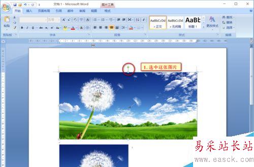 Word中如何對圖片進行裁剪