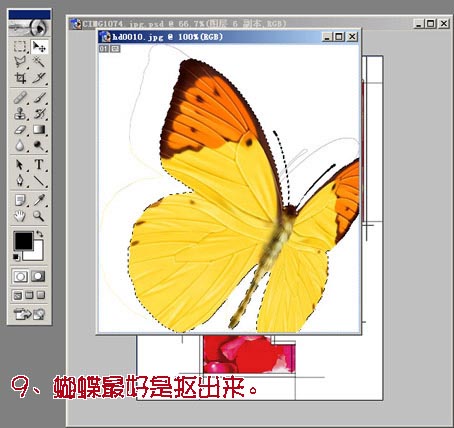 photoshop為mm數(shù)碼照片做花落花開簽名_網(wǎng)頁設(shè)計整理