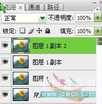 photoshop教程：做花卉水彩畫