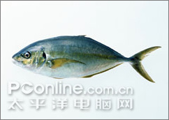 ps輕松制作魅力無限的水底場景