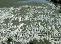 ps輕松制作魅力無限的水底場景