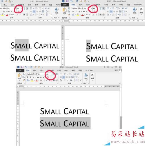 word設小型大寫字母small capitals