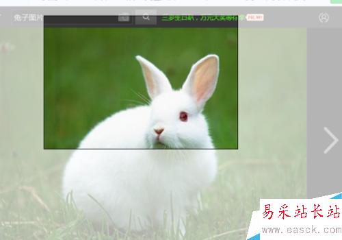 Word2010文檔中屏幕截圖功能插入圖片