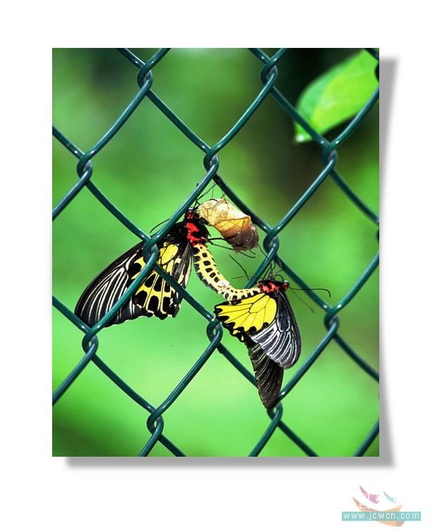 photoshop實(shí)例教程:打造照片立體環(huán)境效果-網(wǎng)頁設(shè)計