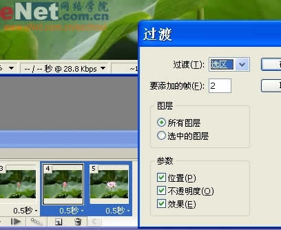photoshop與ir打造荷花盛開動畫_網頁設計轉載