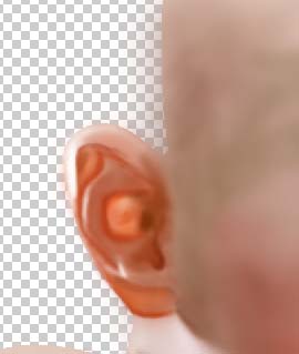 photoshop鼠繪哭泣的男孩過程