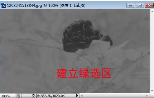 photoshop照片選區的各種制作方法