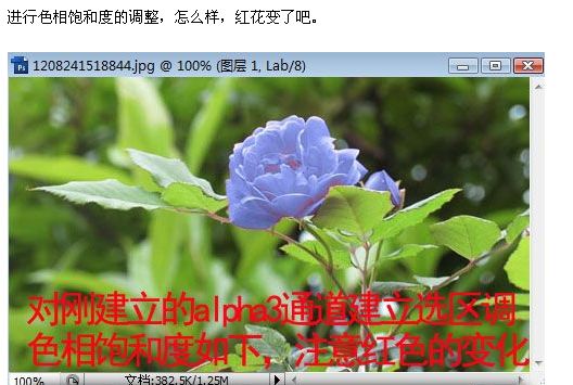 photoshop照片選區的各種制作方法_webjx.com