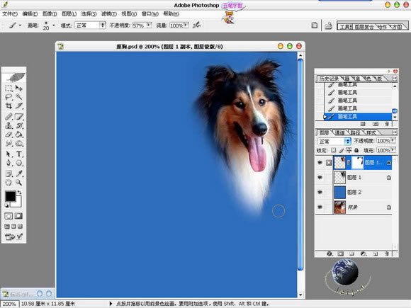 photoshop精細摳圖詳解:摳出美麗的狗狗_網頁設計webjx.com網絡整理