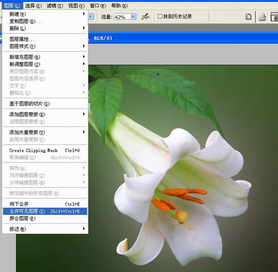 photoshop處理數(shù)碼照片的背景alt=花卉照片處理:簡化背景突出主體