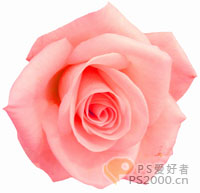 photoshop簡單制作幸福花香mm簽名_網(wǎng)頁設計webjx.com網(wǎng)絡整理
