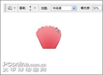 用photoshop鼠繪一支康乃馨 用photoshop鼠繪一支康乃馨
