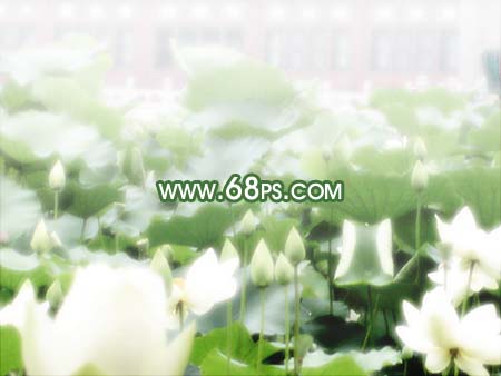 photoshop突出mm照片意境讓畫面清晰