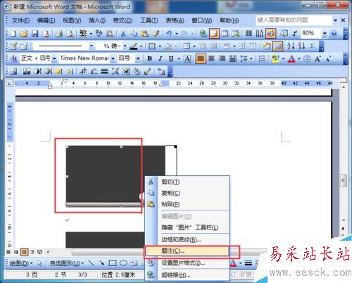 word2003如何為圖片自動(dòng)編號(hào)