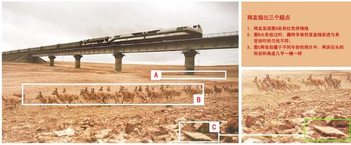 “劉羚羊”假照片真相大白