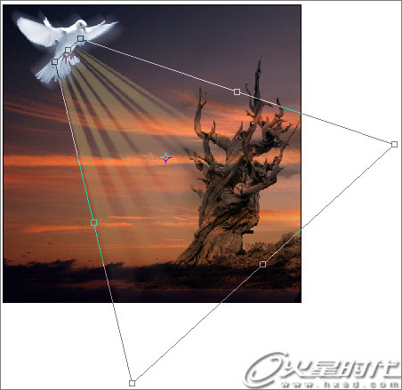 photoshop照片合成:幻境中的和平鴿 photoshop照片合成:幻境中的和平鴿