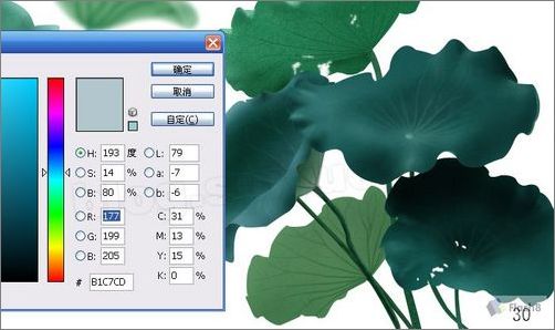 photoshop鼠繪精美荷花教程 photoshop鼠繪精美荷花教程