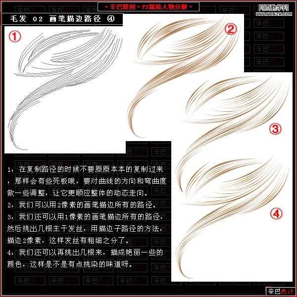 photoshop鼠繪教程:繪制真實的毛發_網頁設計