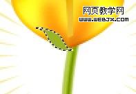 photoshop教程：繪制好看的花朵20