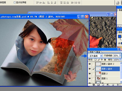 瓊瑤感覺(jué)