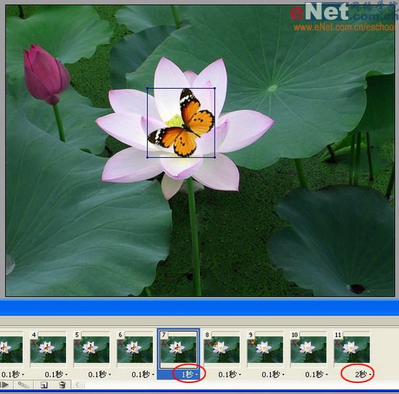 imageready蝶戀花 動畫制作教程_網(wǎng)頁設(shè)計(jì)webjx.com整理