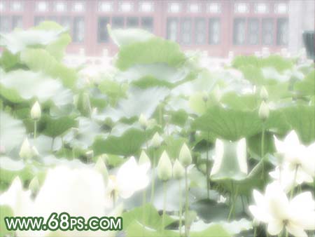 photoshop突出mm照片意境讓畫面清晰