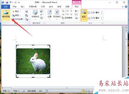 Word2010刪除圖片背景實現局部提取怎么做