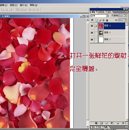 photoshop為mm數(shù)碼照片做花落花開簽名_網(wǎng)頁設(shè)計整理