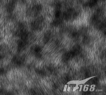 獨具風(fēng)格photoshop打造毛皮效果(4)