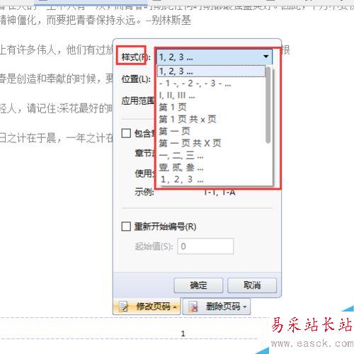 WPS中怎么插入頁碼?