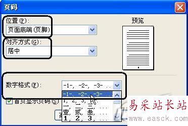 在WPS 2007中插入漂亮的頁(yè)碼樣式_錯(cuò)新站長(zhǎng)站Vevb.com整理