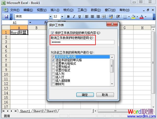Excel 2003單元格保護設置