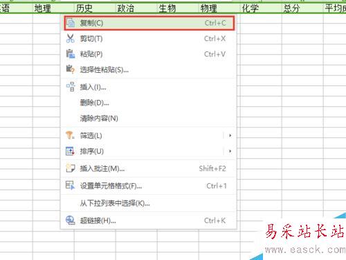 怎樣用wps快速錄入一張成績單？