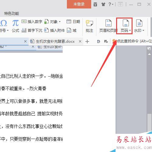 WPS中怎么插入頁碼?