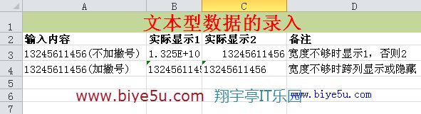 Excel中輸入文本型數據