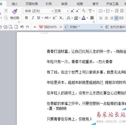 WPS中怎么插入頁碼?