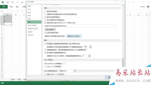 Excel中如何使用自定義排序