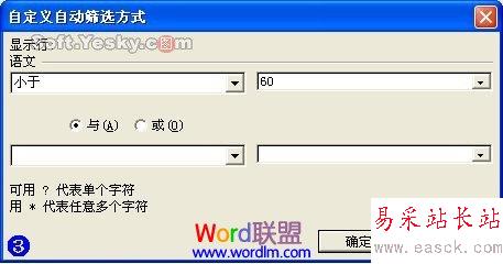 自定義自動篩選方式