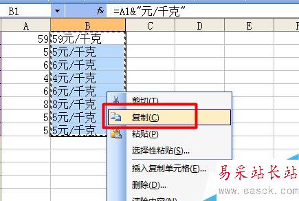 Excel如何在單元格內(nèi)批量加前綴或后綴？