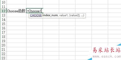 Excel中Choose函數(shù)如何使用？