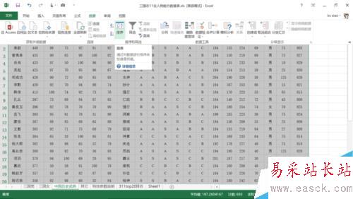 Excel中如何使用自定義排序