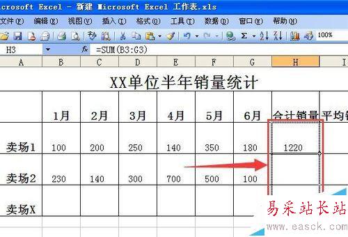 如何利用EXCEL表格求和,并且做成格式化的表格