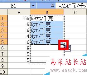 Excel如何在單元格內(nèi)批量加前綴或后綴？