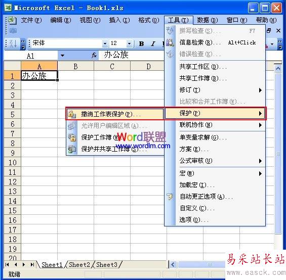 撤消工作表保護