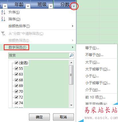 excel篩選前10是什么意思
