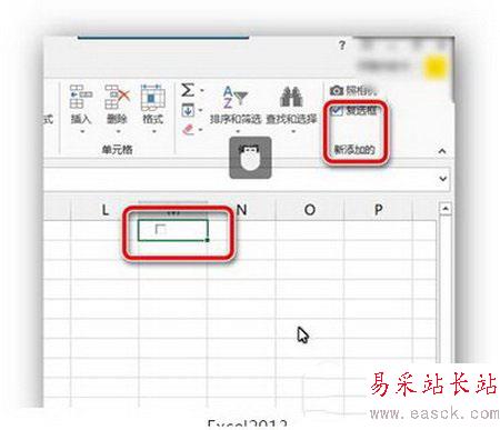 excel2013復選框設置圖文教程 excel2013復選框怎么做4